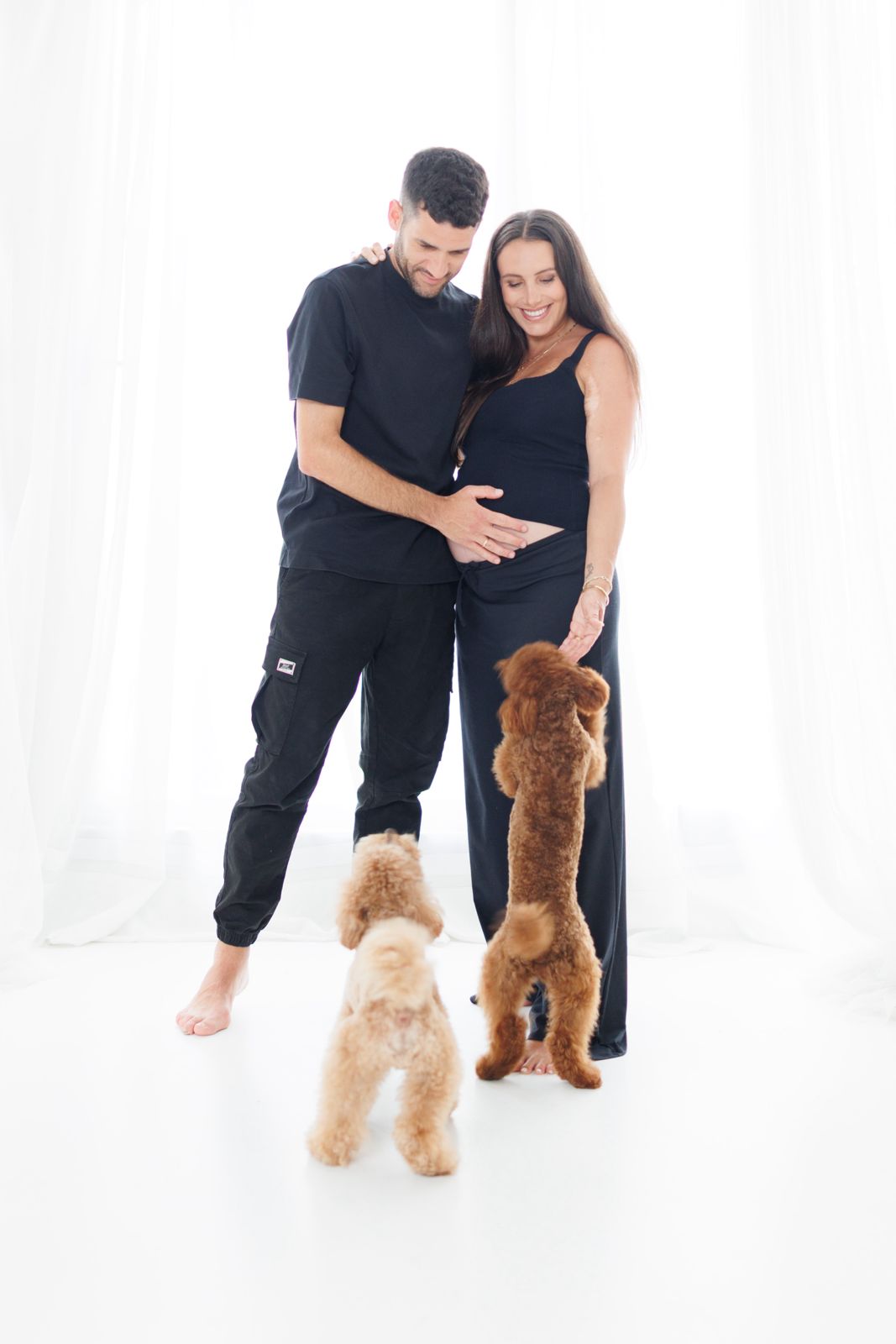 Pareja joven posando en estudio blanco durante el embarazo junto a sus dos perros caniche en actitud cariñosa.